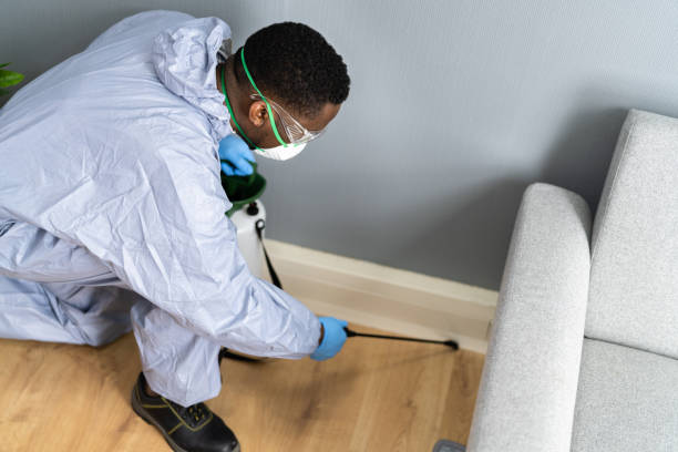 Real Estate Pest Inspections in Wellsburg, WV